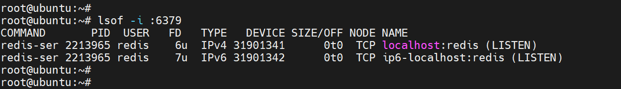 lsof-command-show-processes-listening-on-specific-port