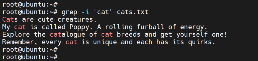 grep-command-display-exact-whole-word