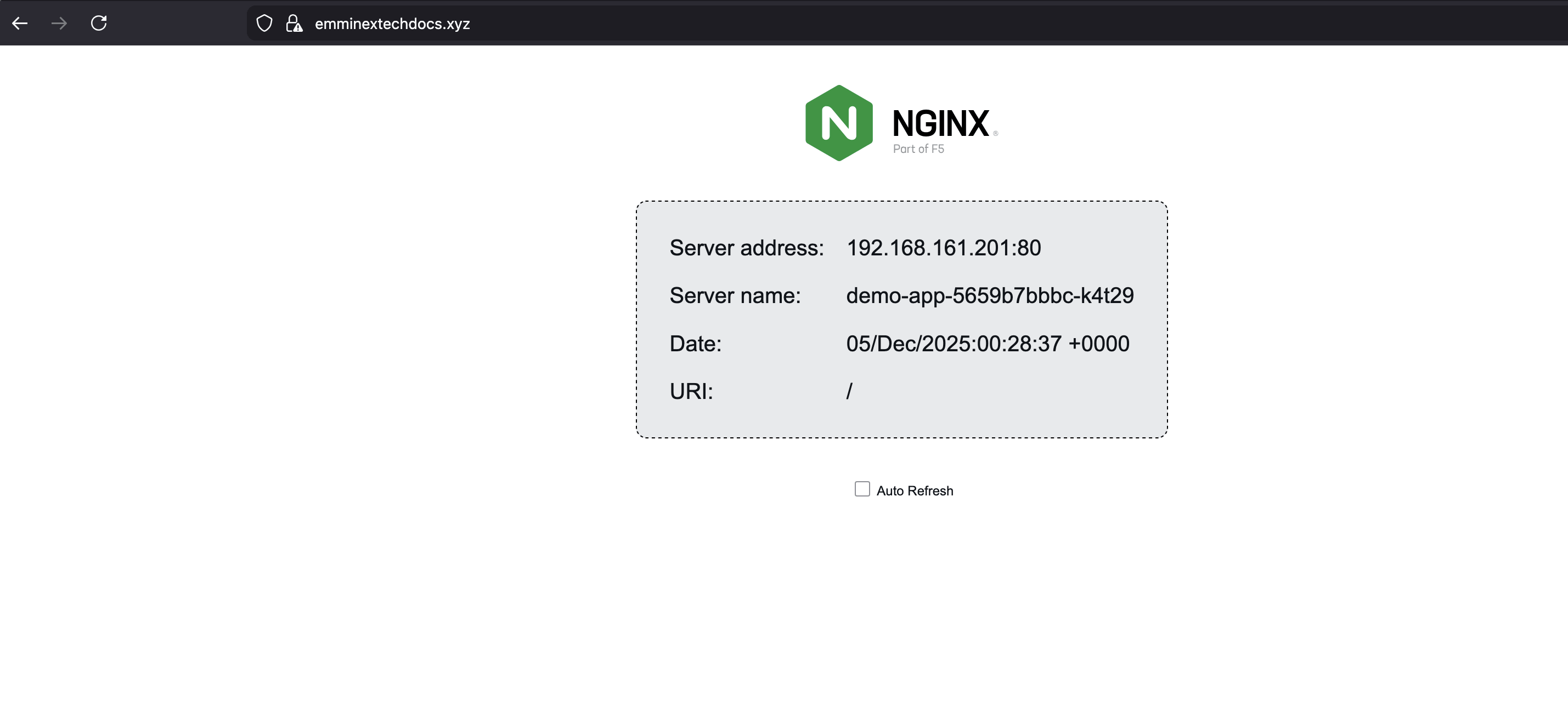 NGINX page