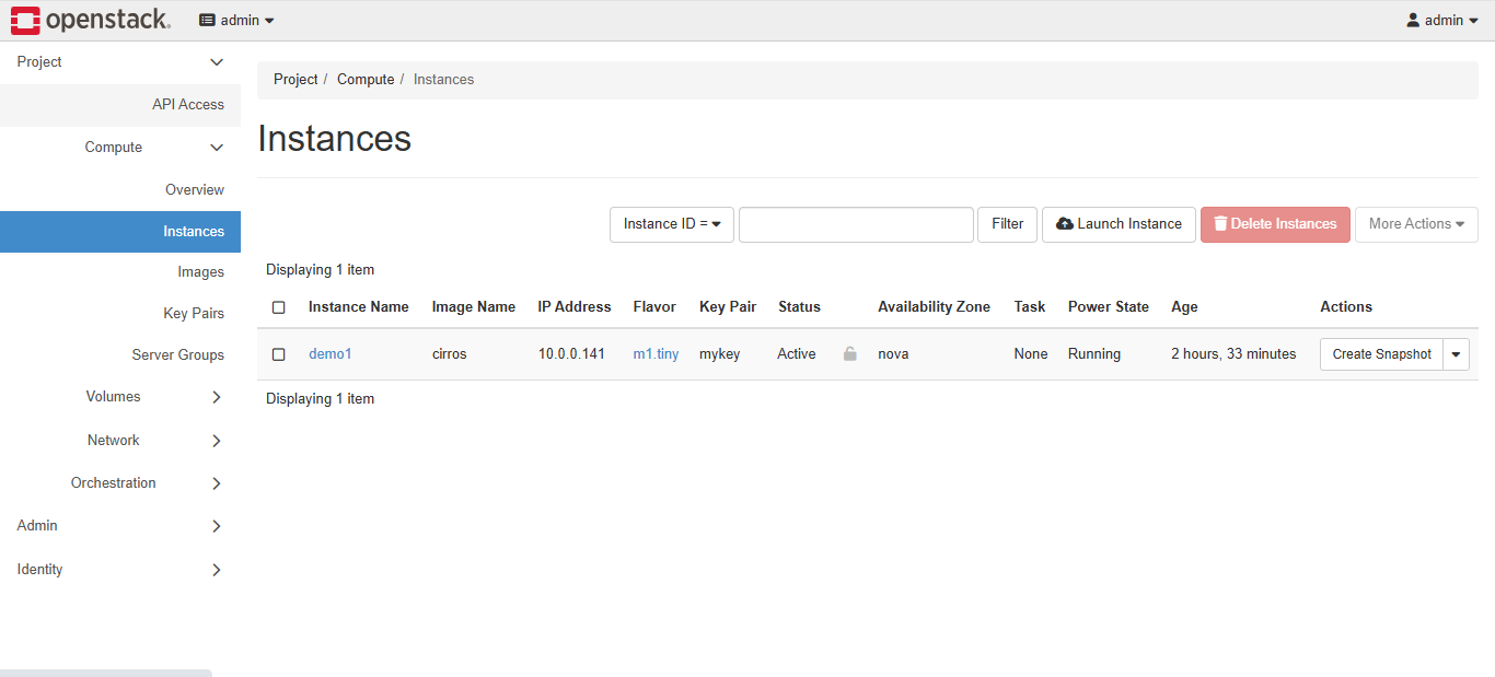 Instance showing in the web interface