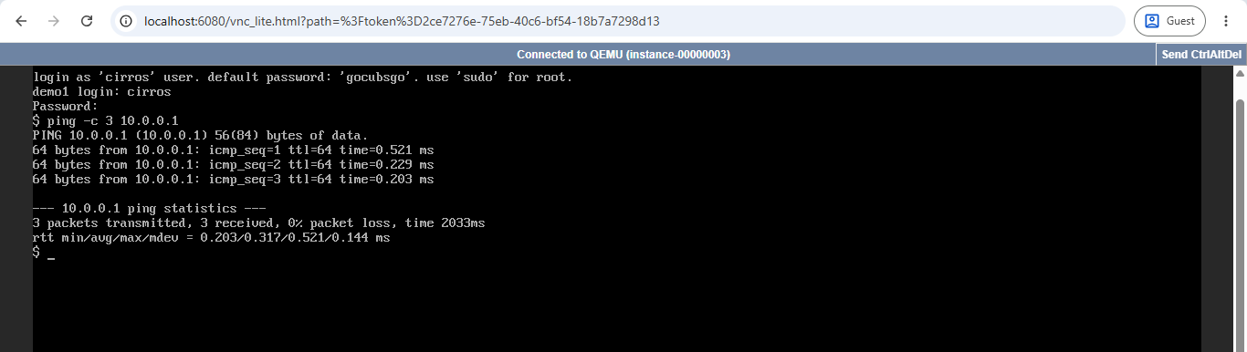 Console output confirming network connectivity from the created instance