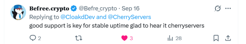Cherry Servers support team response times 3