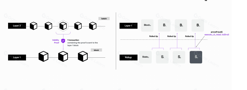 zK rollups (left) vs Optimistic Rollups (right)